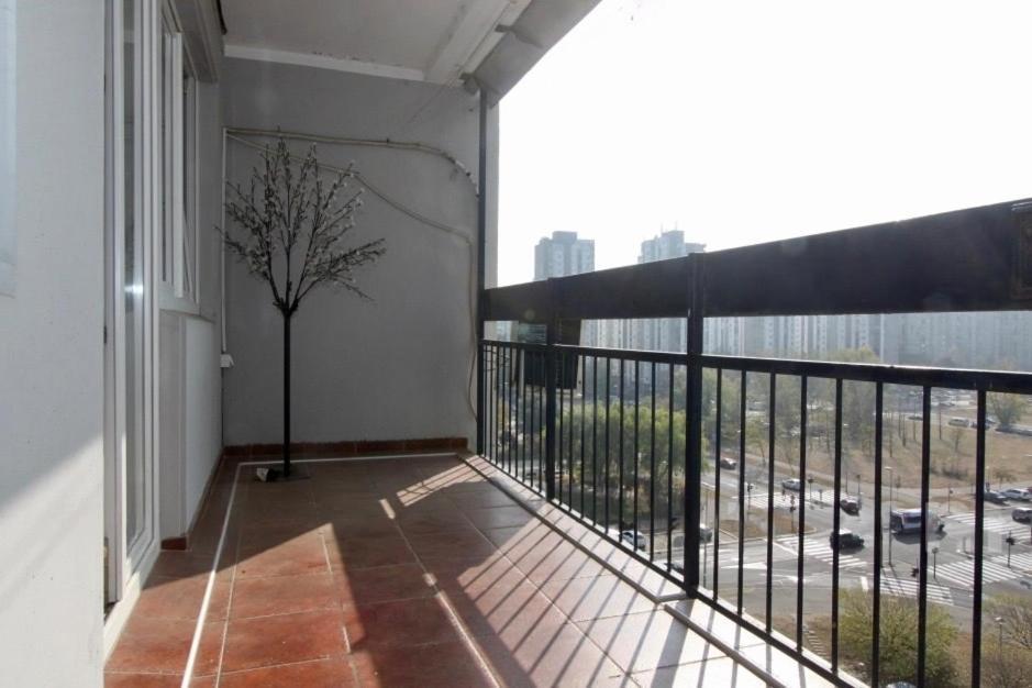 Cezar Apartment Βελιγράδι Εξωτερικό φωτογραφία